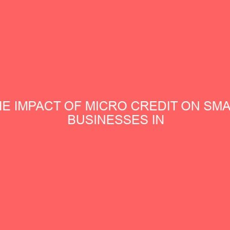 the impact of micro credit on small businesses in nigerian businesses 2 13175