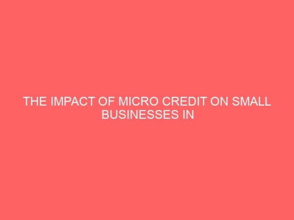 the impact of micro credit on small businesses in nigerian businesses 2 13175