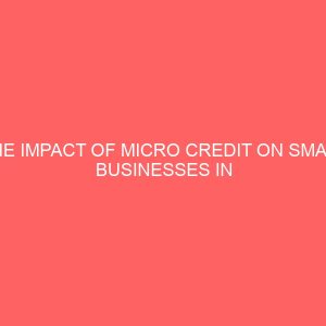 the impact of micro credit on small businesses in nigerian businesses 13157