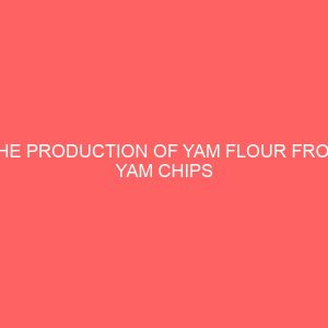 the production of yam flour from yam chips 2 28015