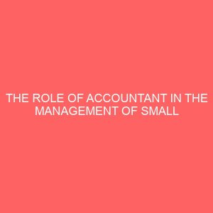 the role of accountant in the management of small scale business 26110