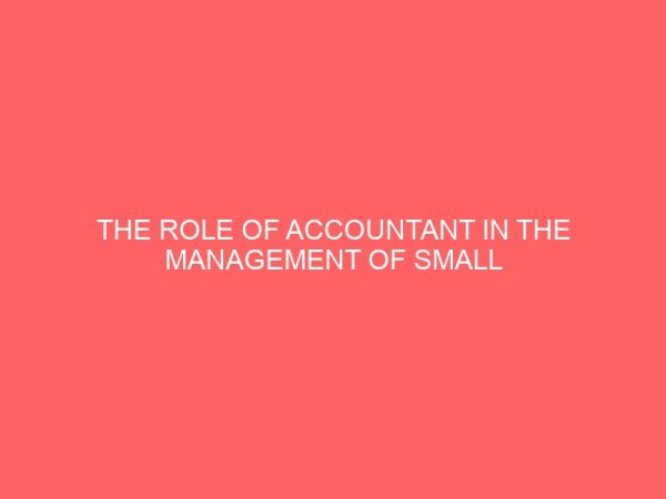 the role of accountant in the management of small scale business 26110