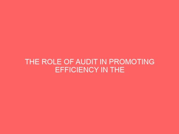 the role of audit in promoting efficiency in the private sector a case study of agrolegend nigeria ltd bida niger state 17748