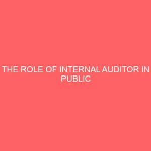 the role of internal auditor in public organizations 35833